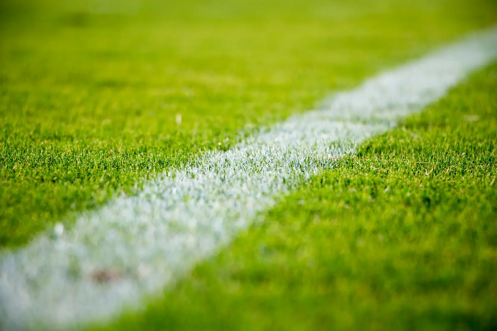 Pitch markings on fresh green grass